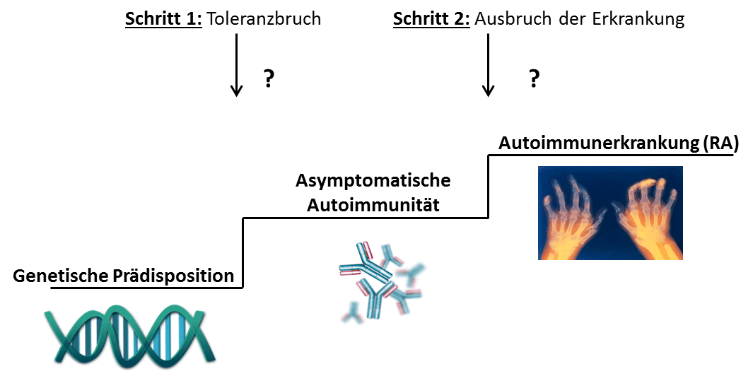 Skizze Forschungsgruppe