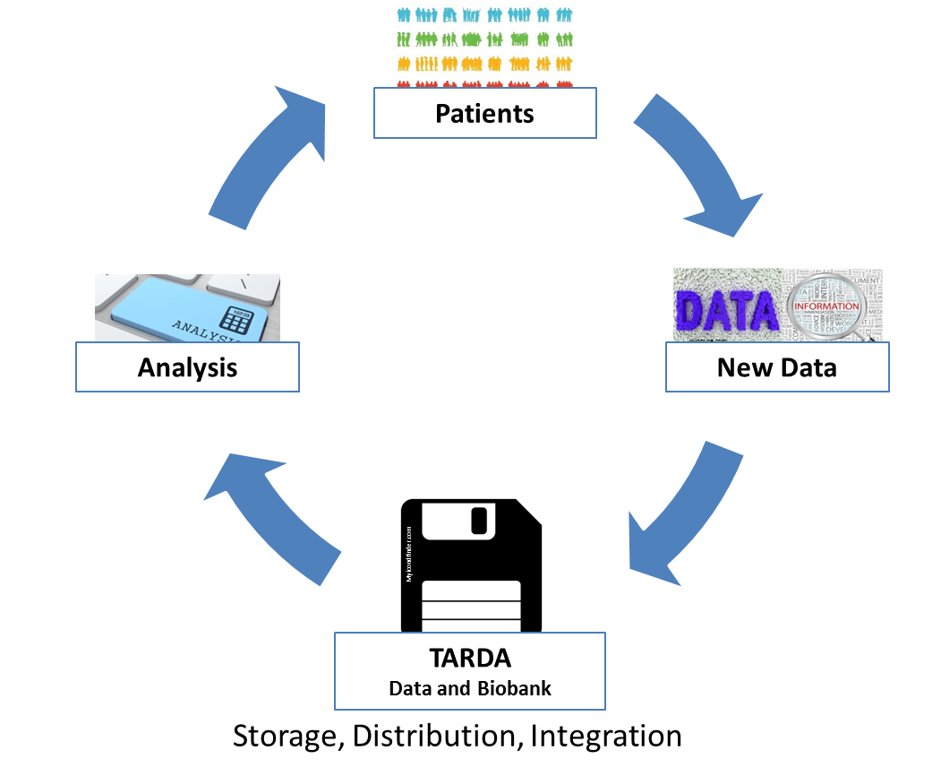 TARDA Datenbank Skizze